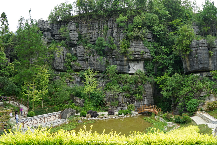 Side Image 2
